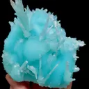 specimen video