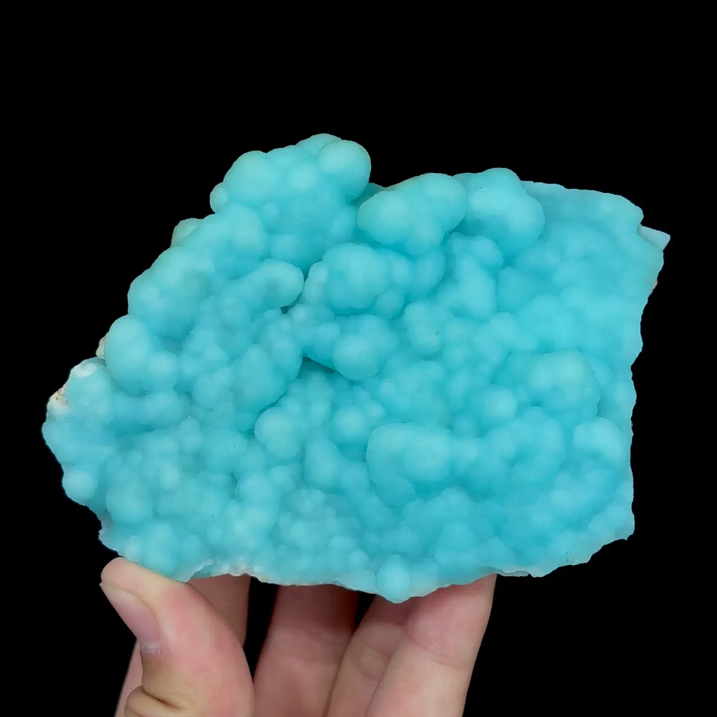 specimen video