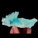 specimen video