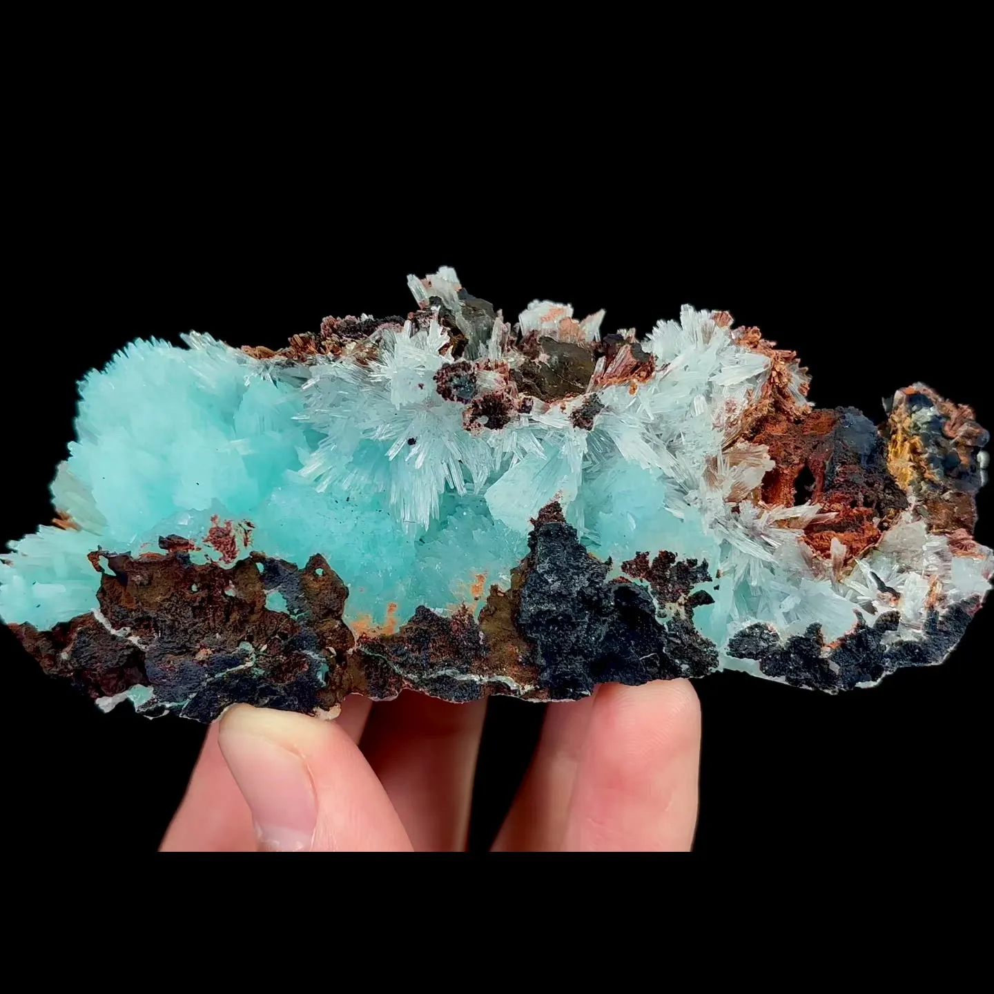 specimen video