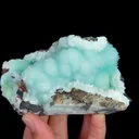 specimen video