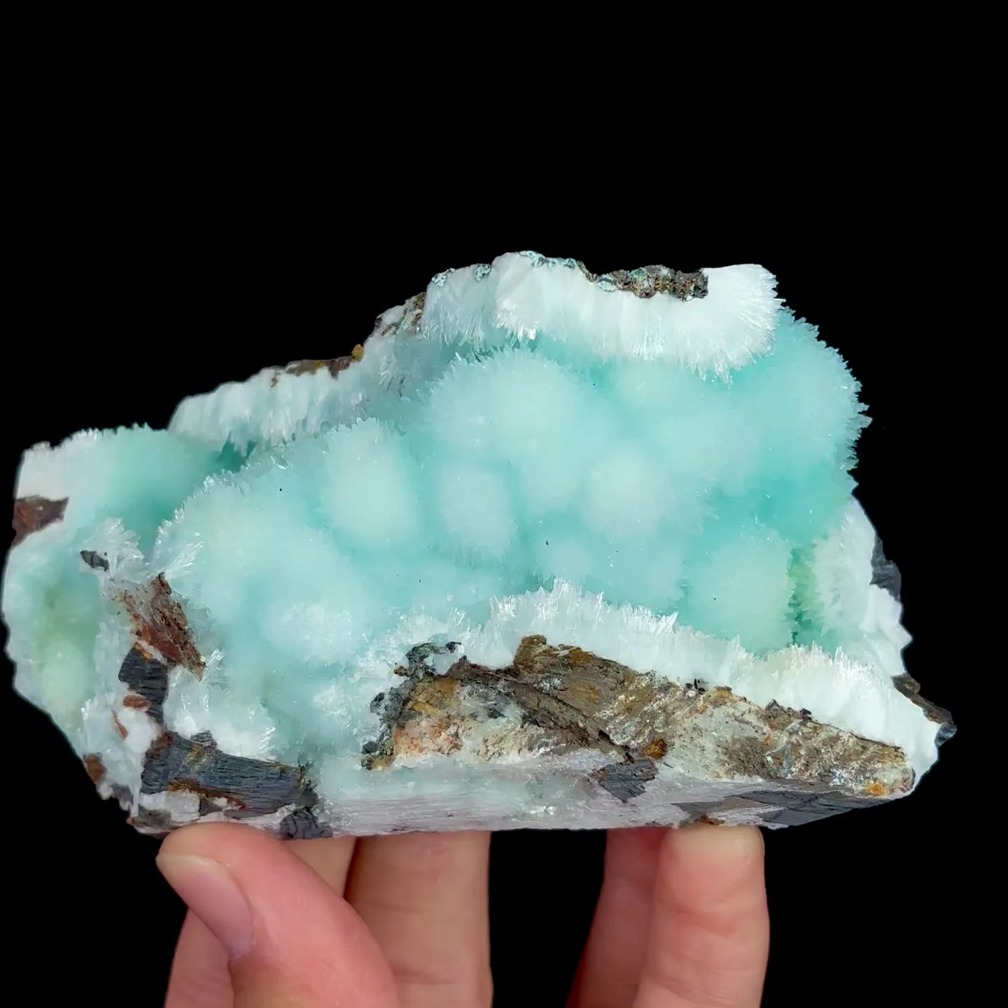 specimen video