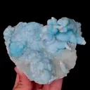specimen video