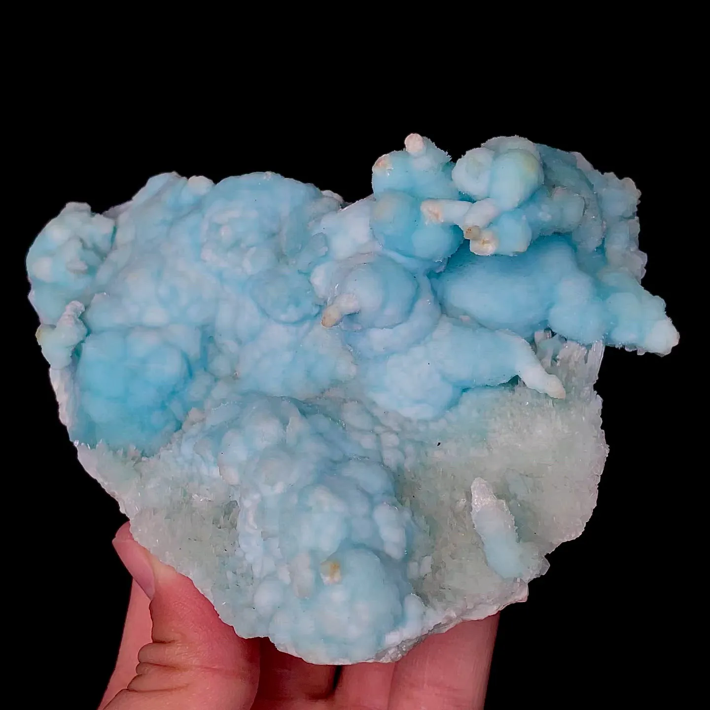 specimen video
