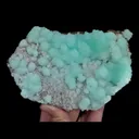 specimen video