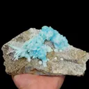 specimen video