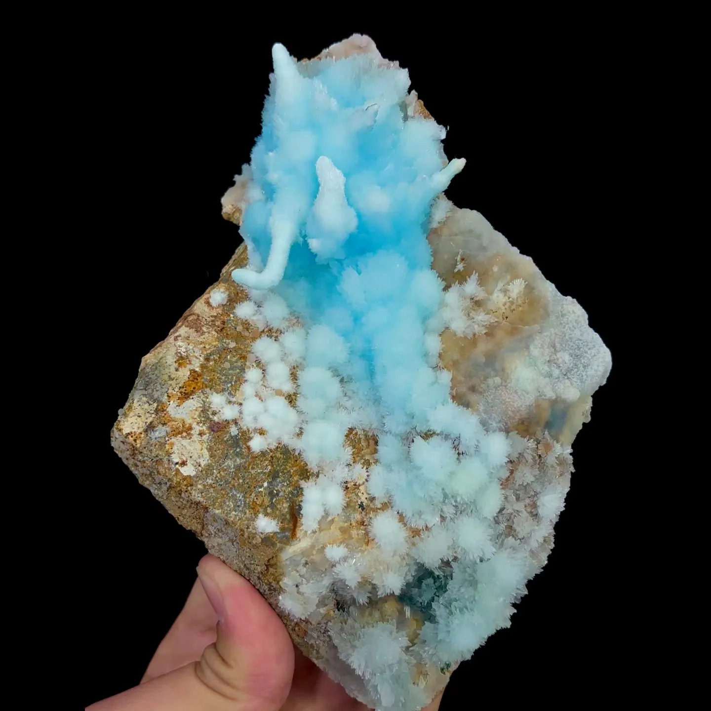 specimen video