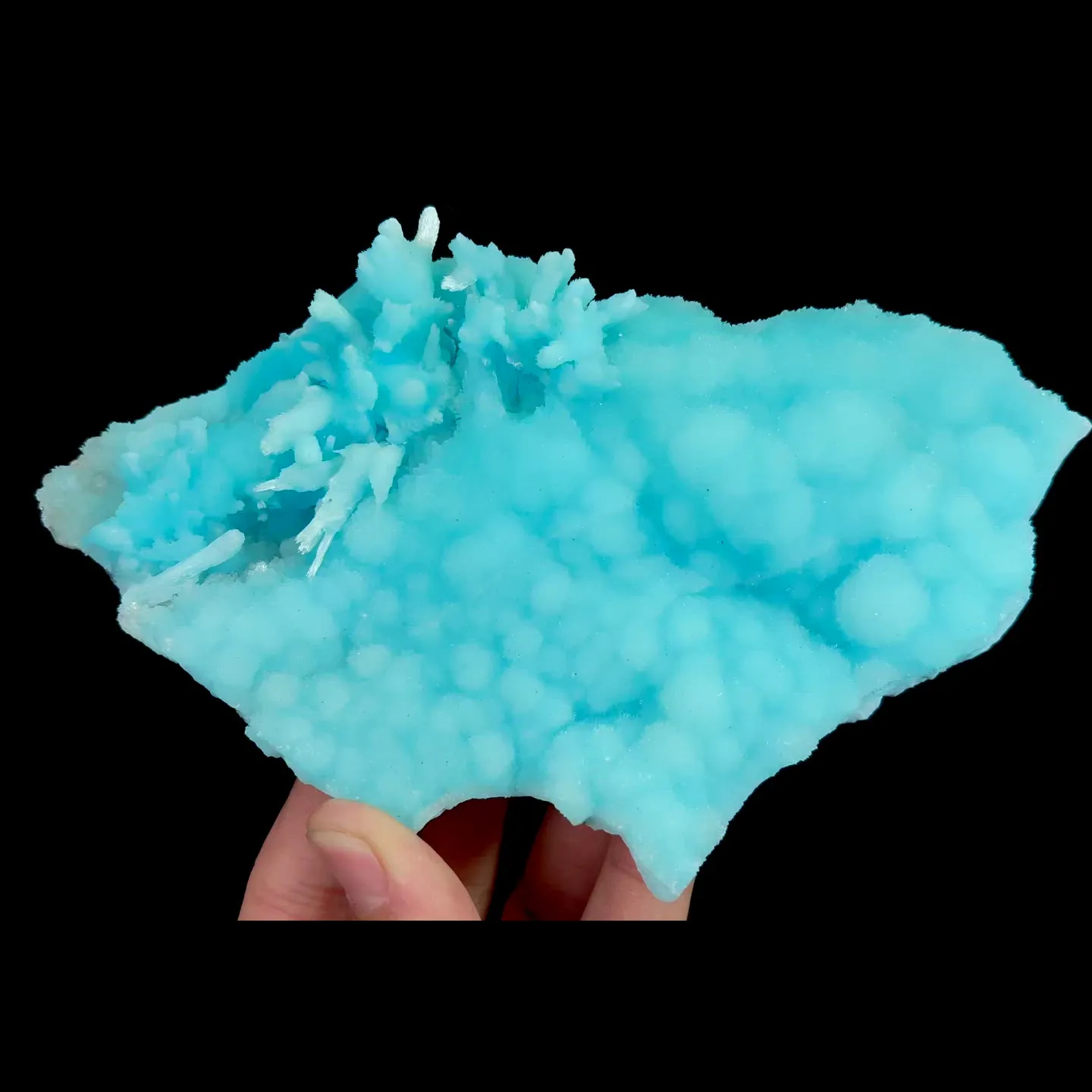 specimen video
