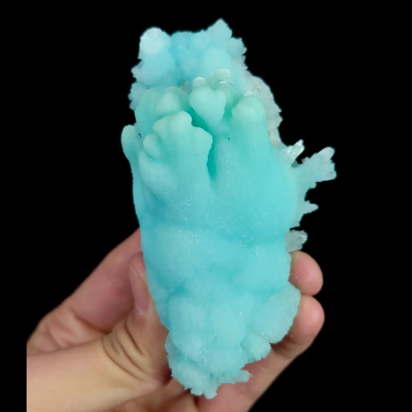specimen video