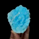 specimen video