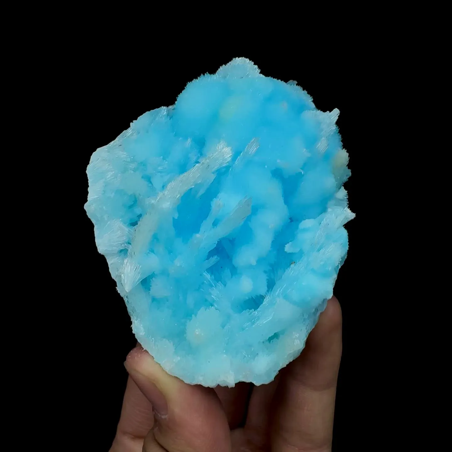 specimen video