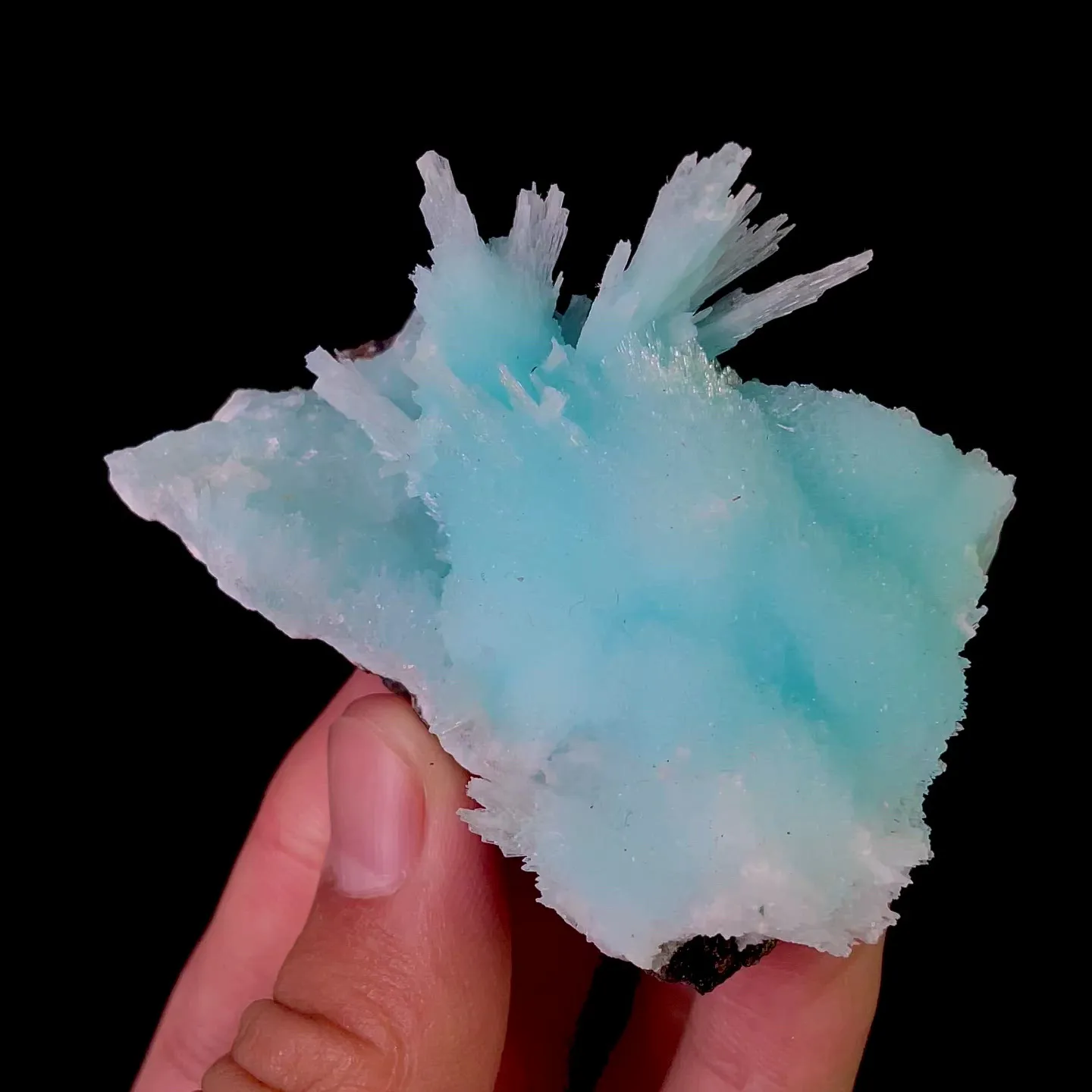 specimen video
