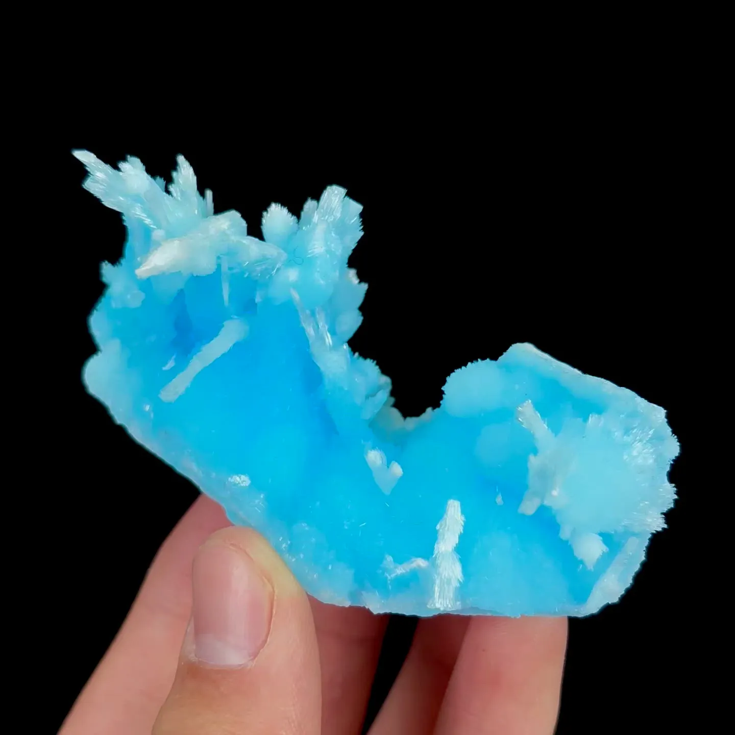 specimen video