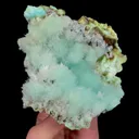 specimen video