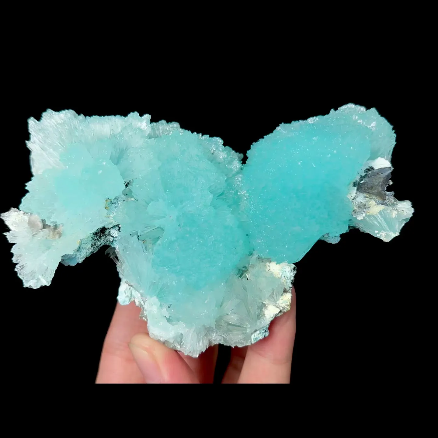 specimen video