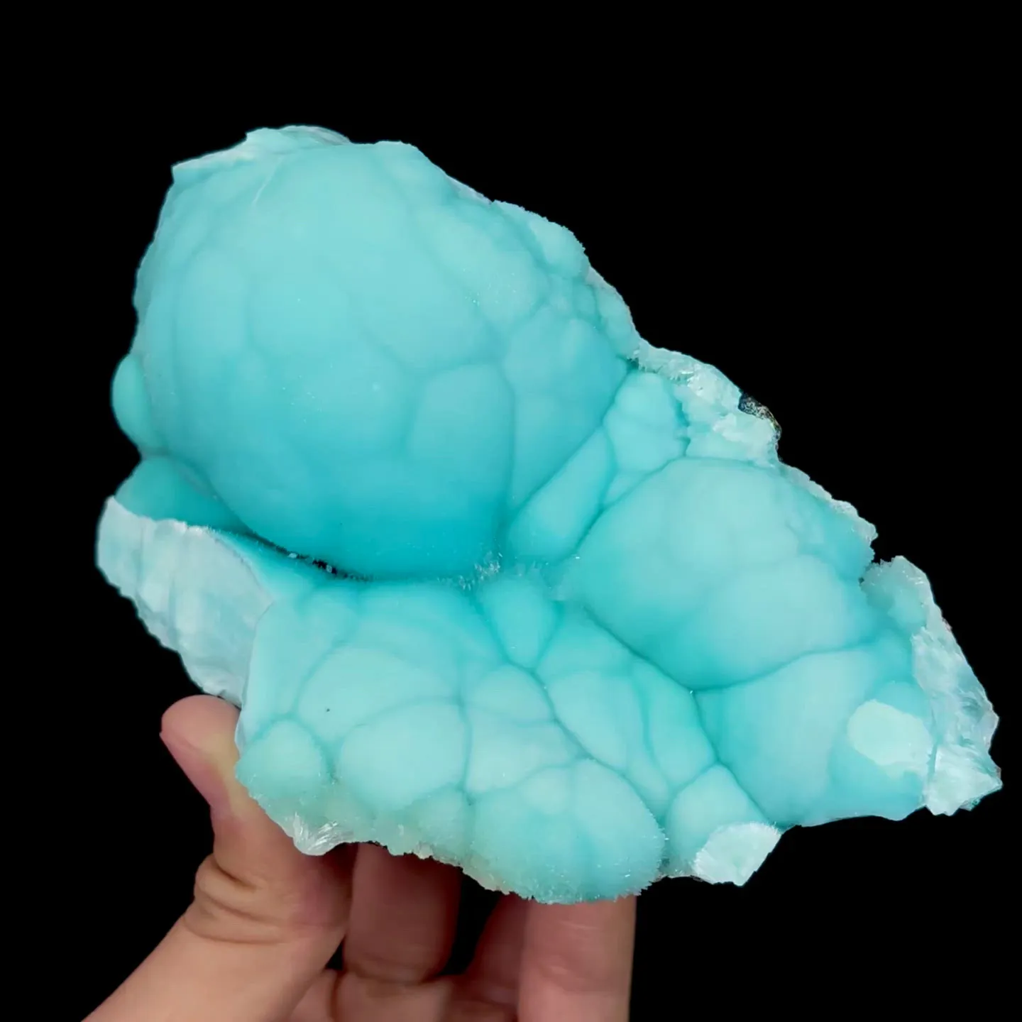 specimen video