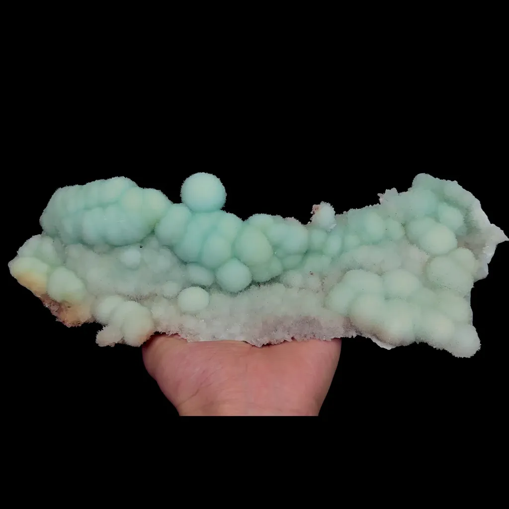 specimen video