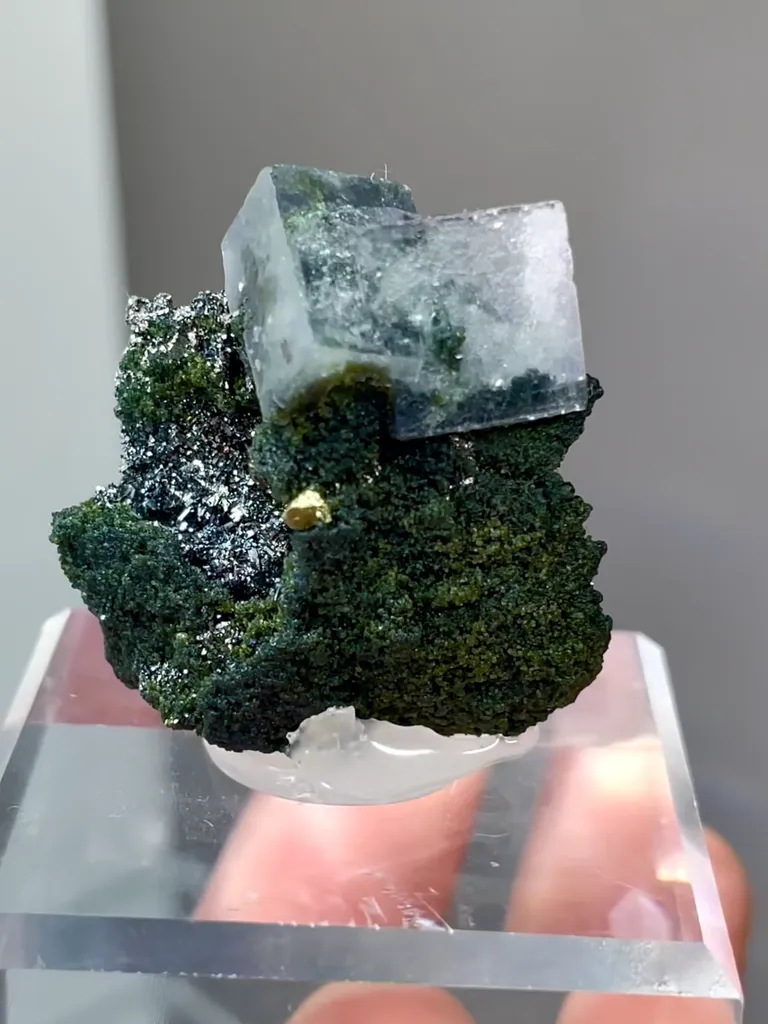 Natural Blue Calcite comes from Yaogangxian,Hunan 25*15*30MM - image 4