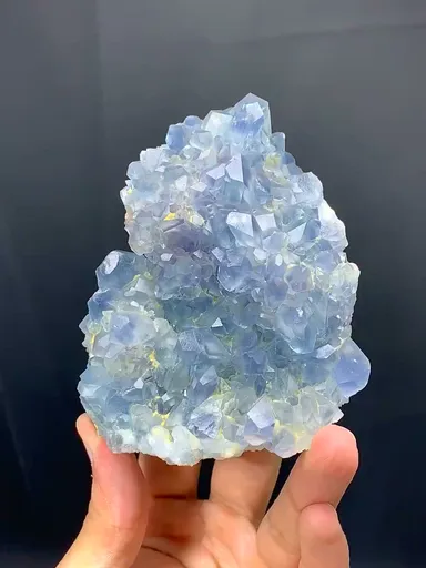 specimen video