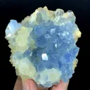 Natural Blue Color Celestine Crystals Cluster, Celestine Bunch, Celestine with Yellow Calcite, Celestine Specimen, Celestine from Baghdis, Afghanistan - image 6