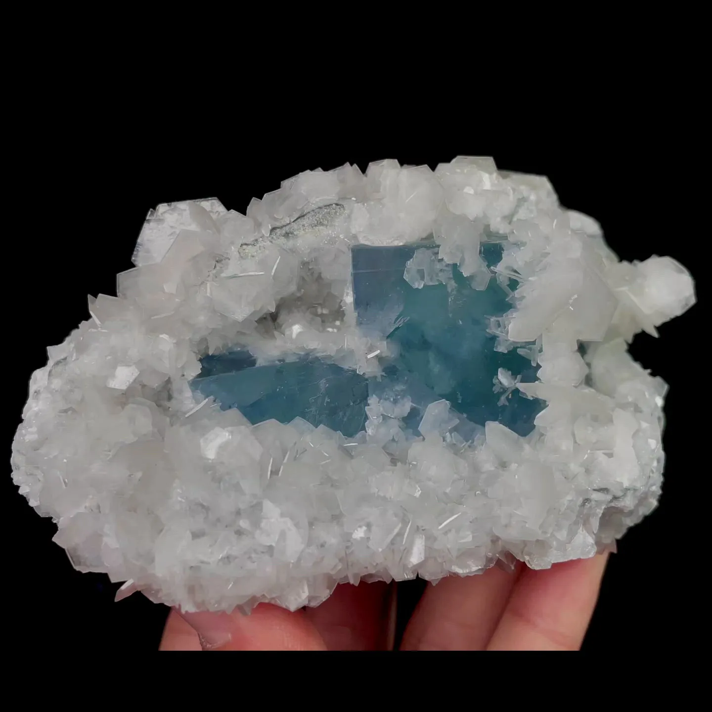 specimen video