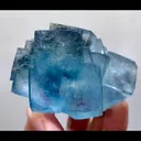 specimen video