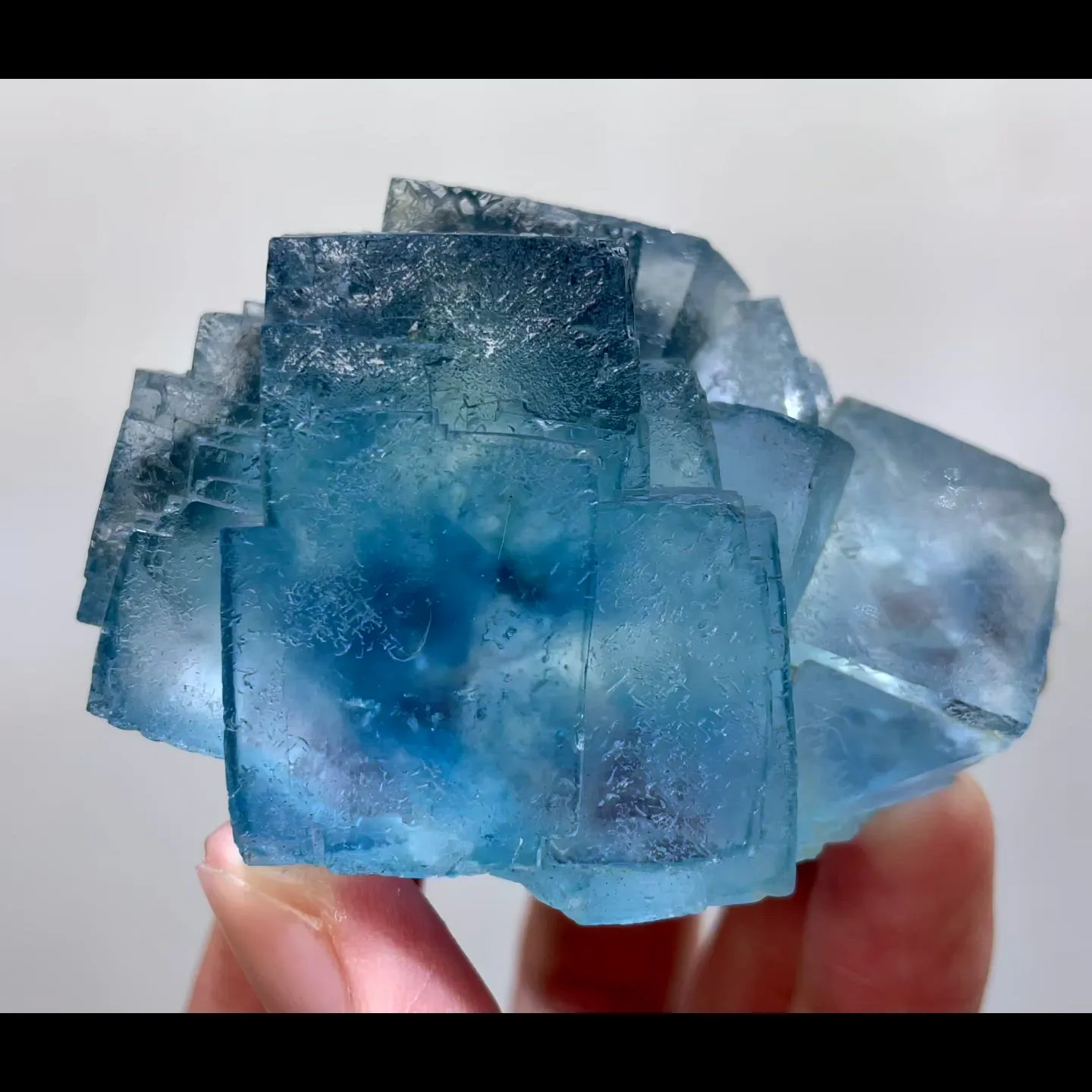 specimen video