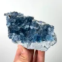 specimen video