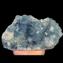 specimen video