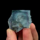 specimen video