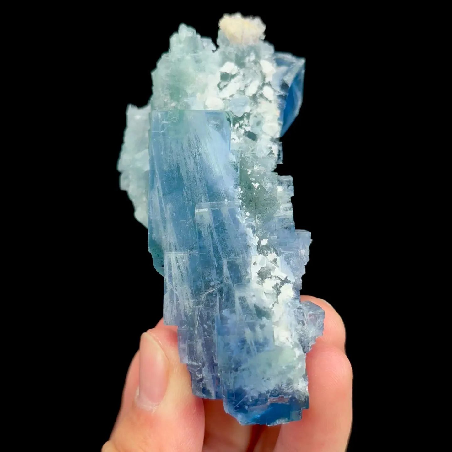 specimen video