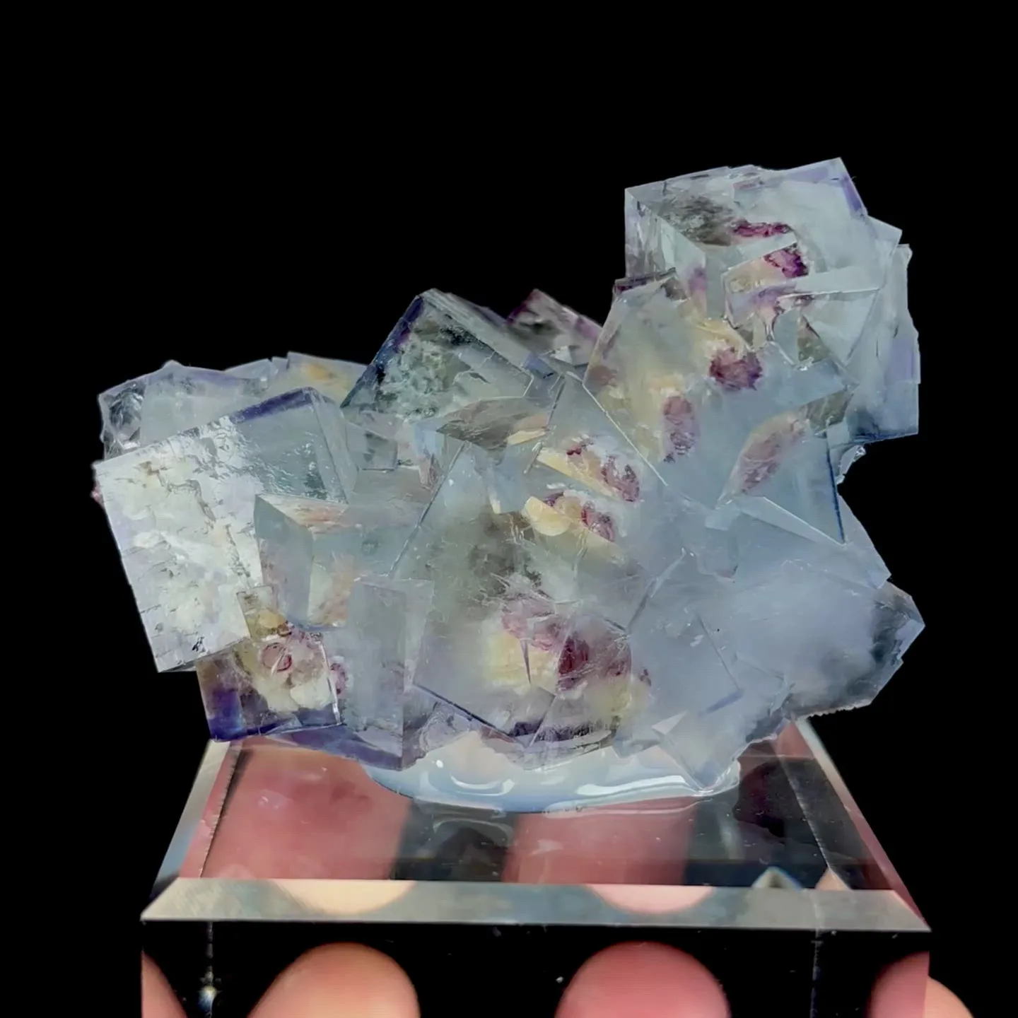 specimen video