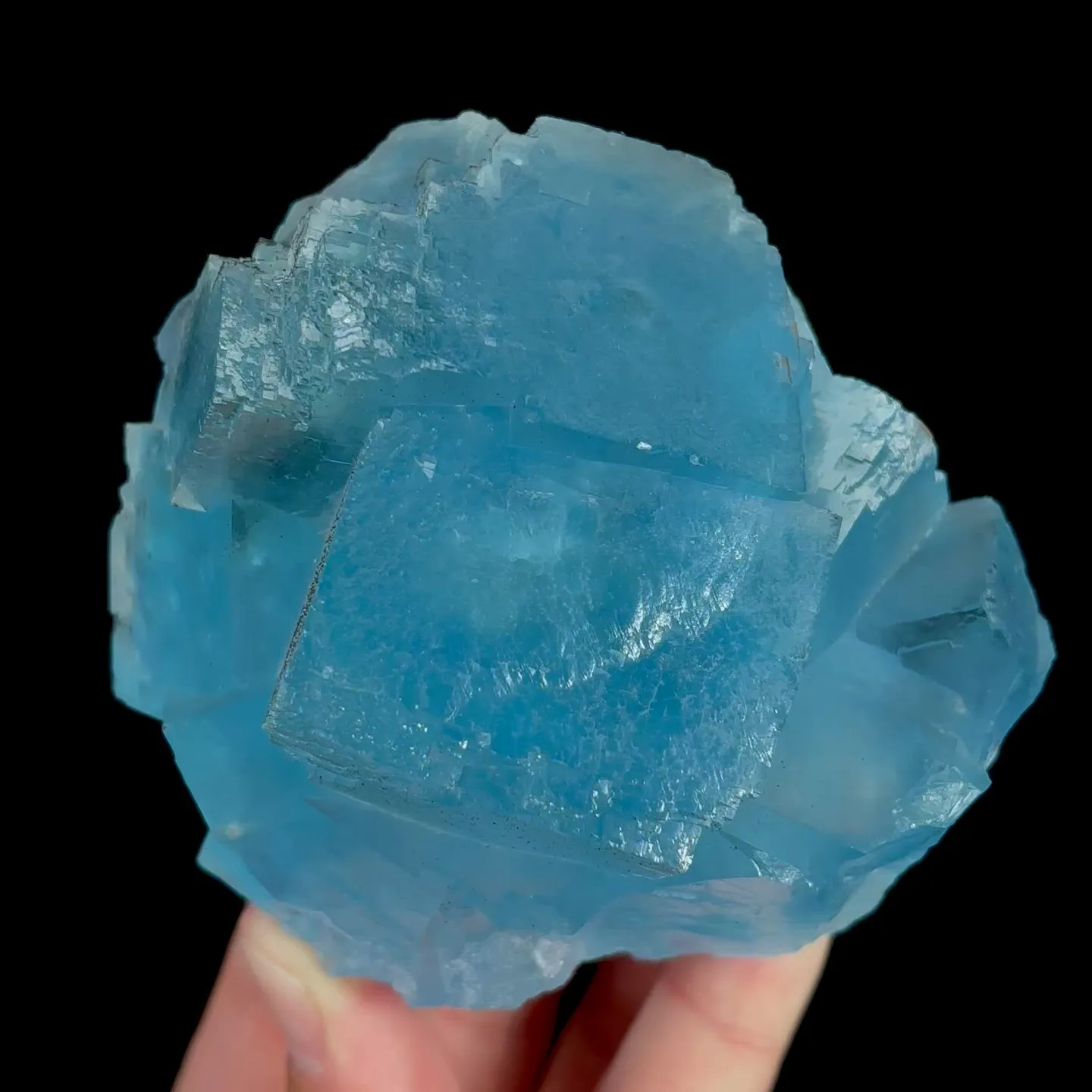 specimen video