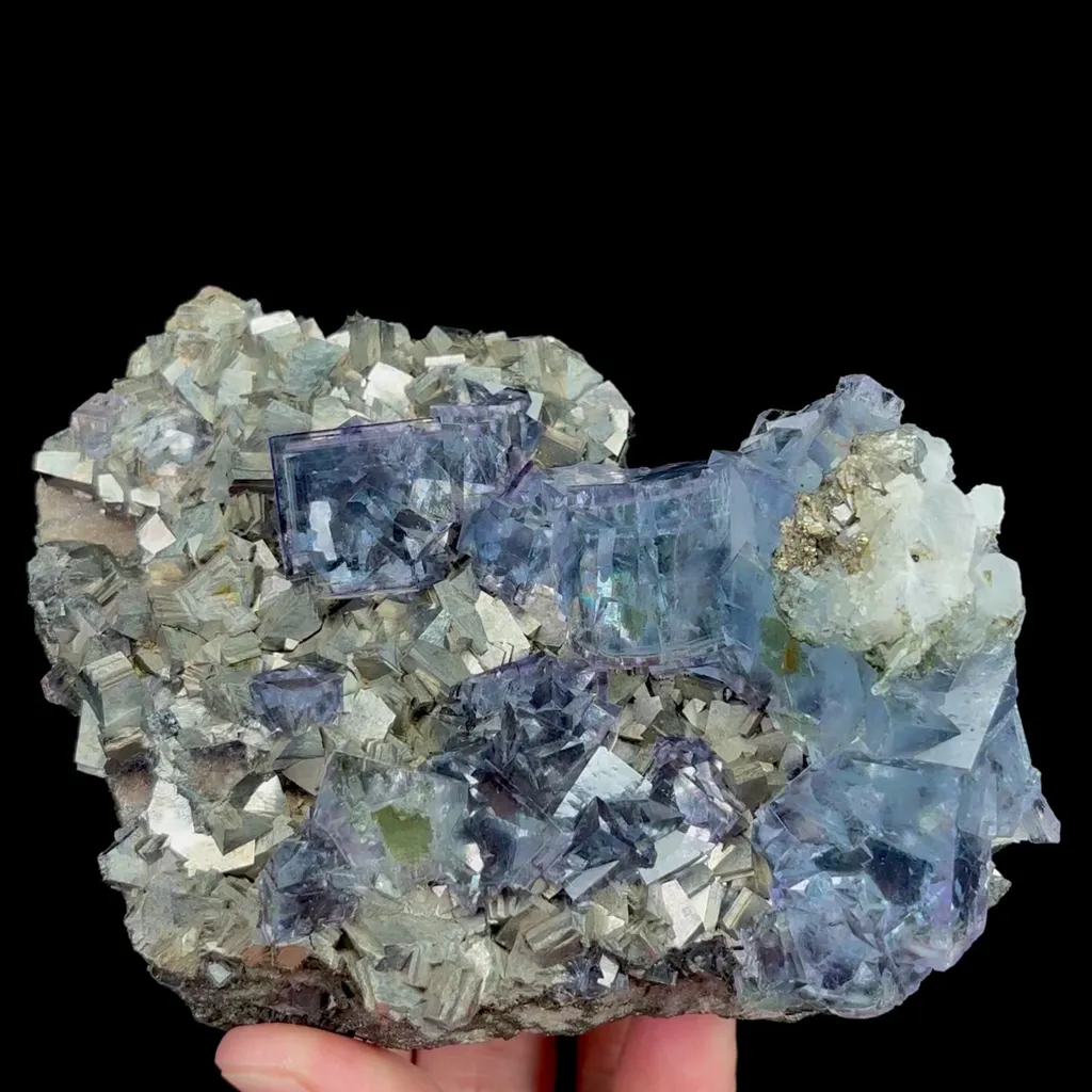 specimen video