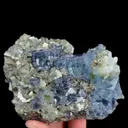 specimen video