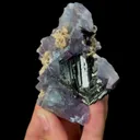 specimen video