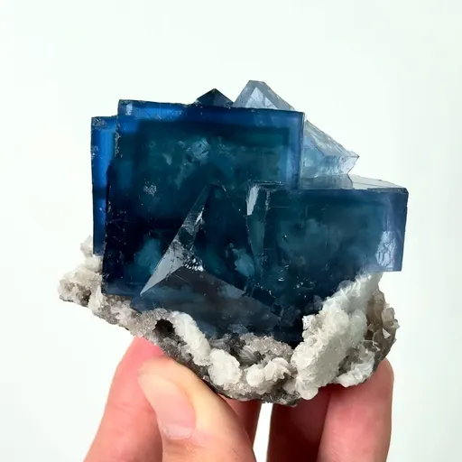 specimen video