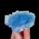 specimen video