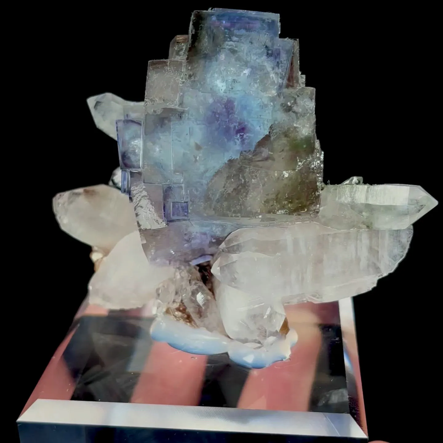 specimen video