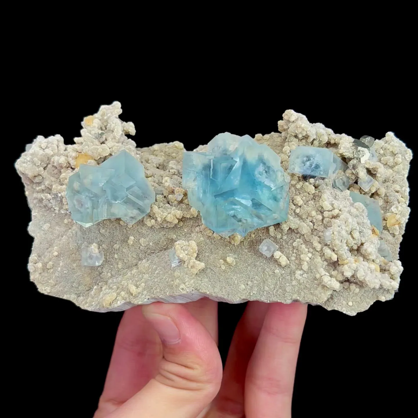 specimen video