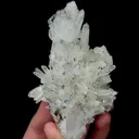 specimen video