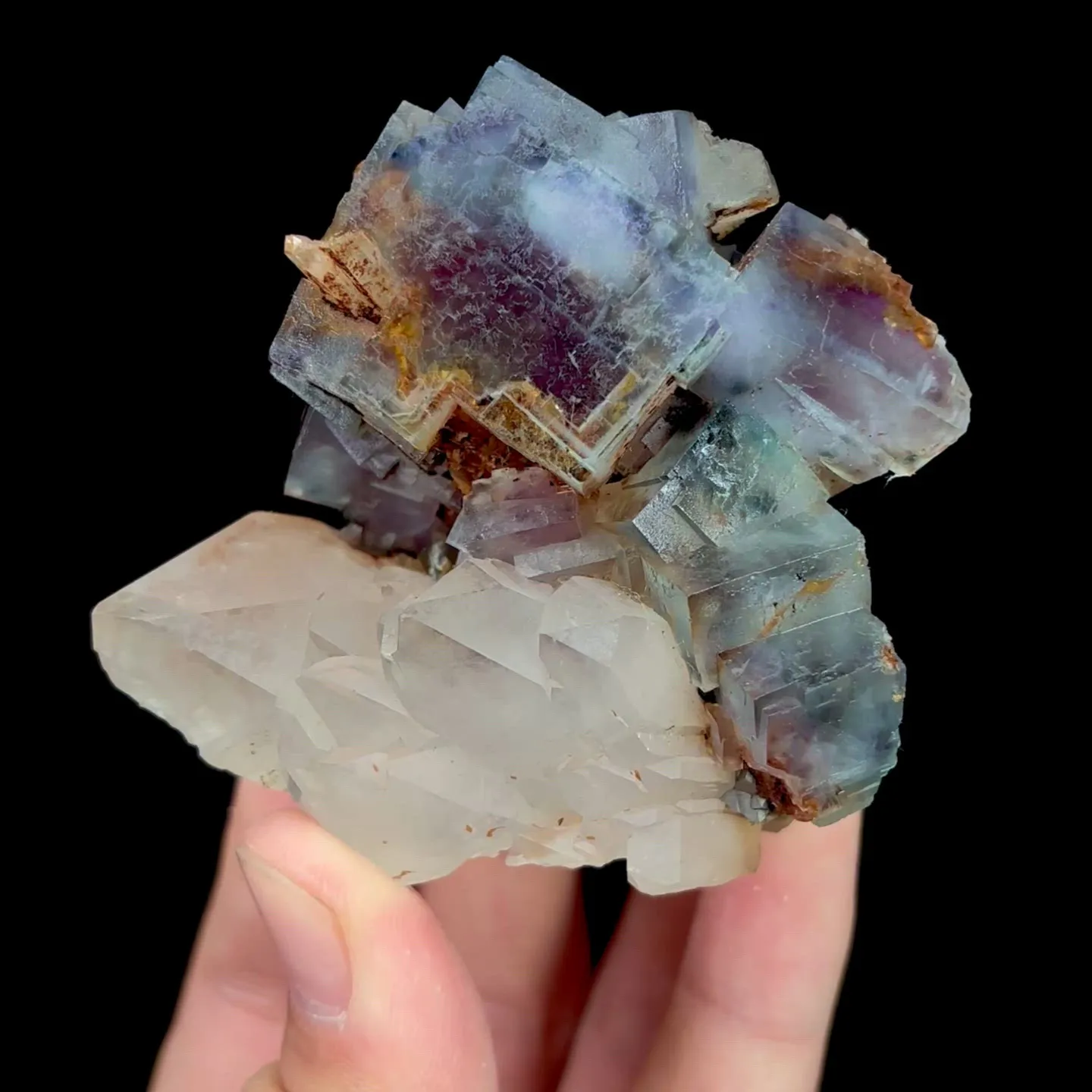 specimen video