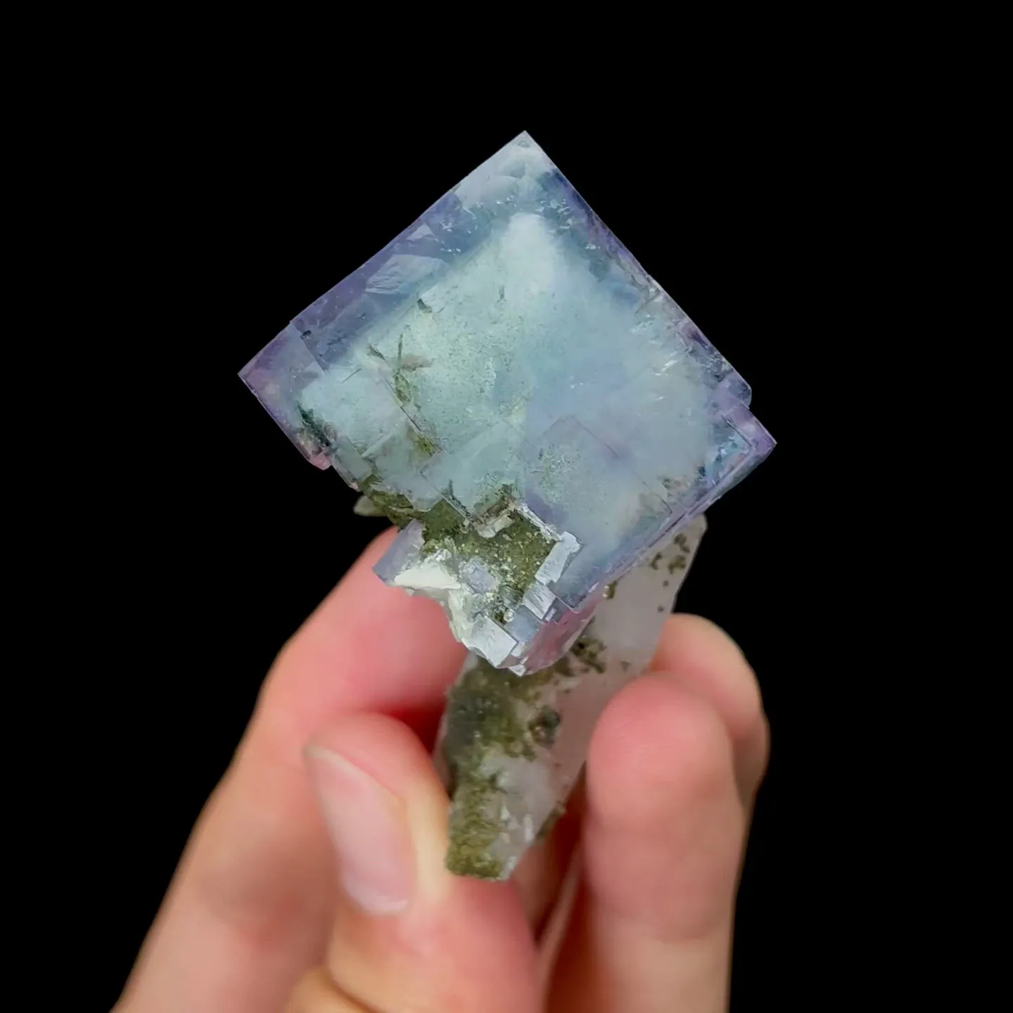 specimen video