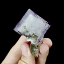 Natural Blue Cubic Fluorite and Quartz Mineral Specimen,High Quality Specimen,YAO GANG XIAN,HUNAN,CHINA(30*30*30mm) - image 4