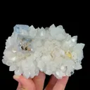 specimen video