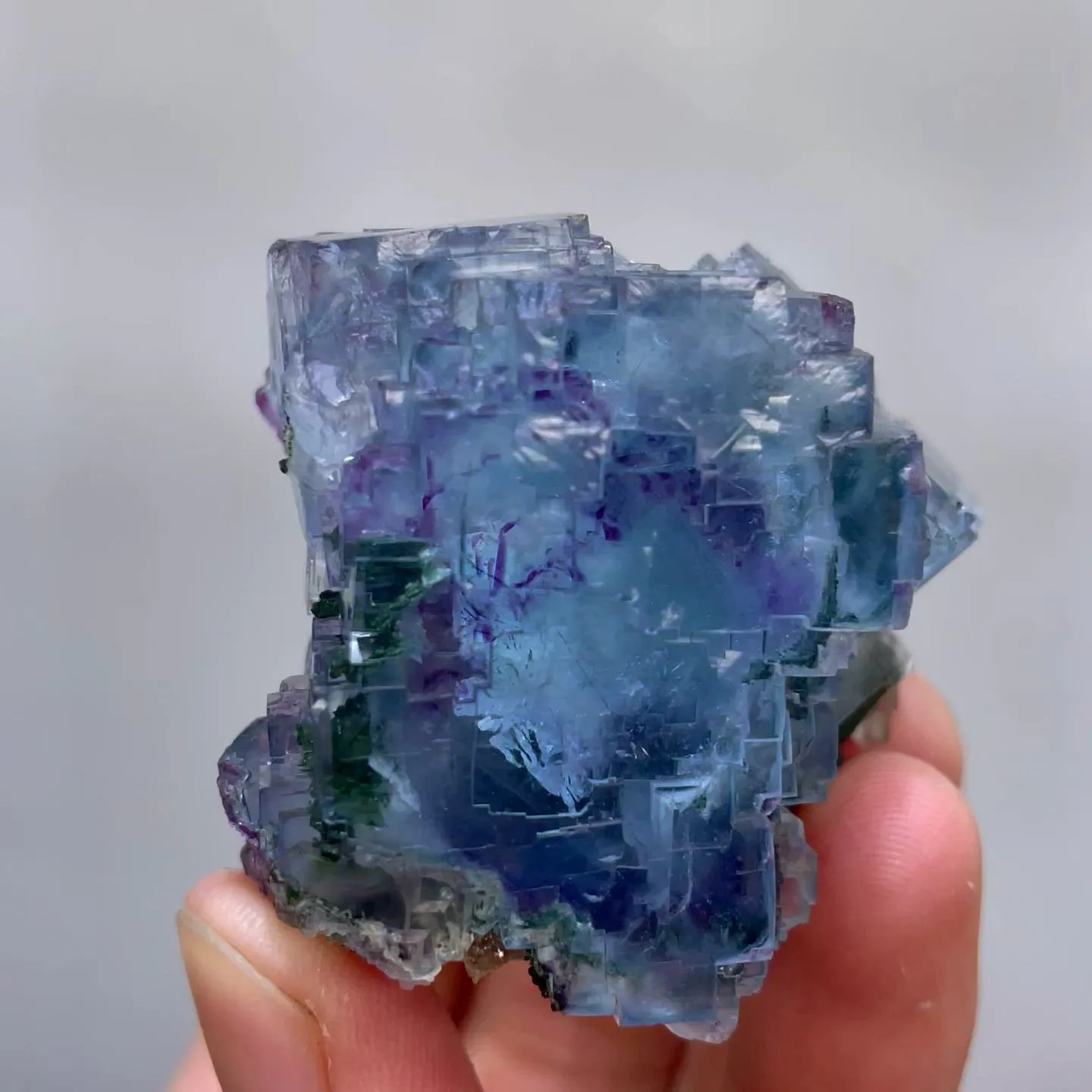 specimen video
