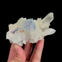 specimen video