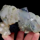 specimen video