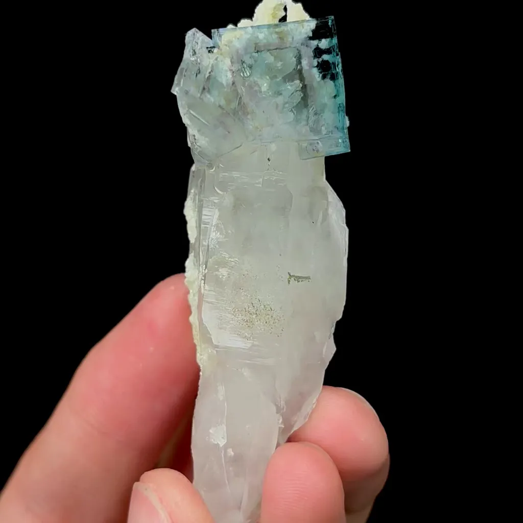 specimen video