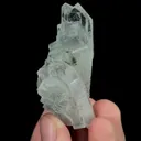 specimen video